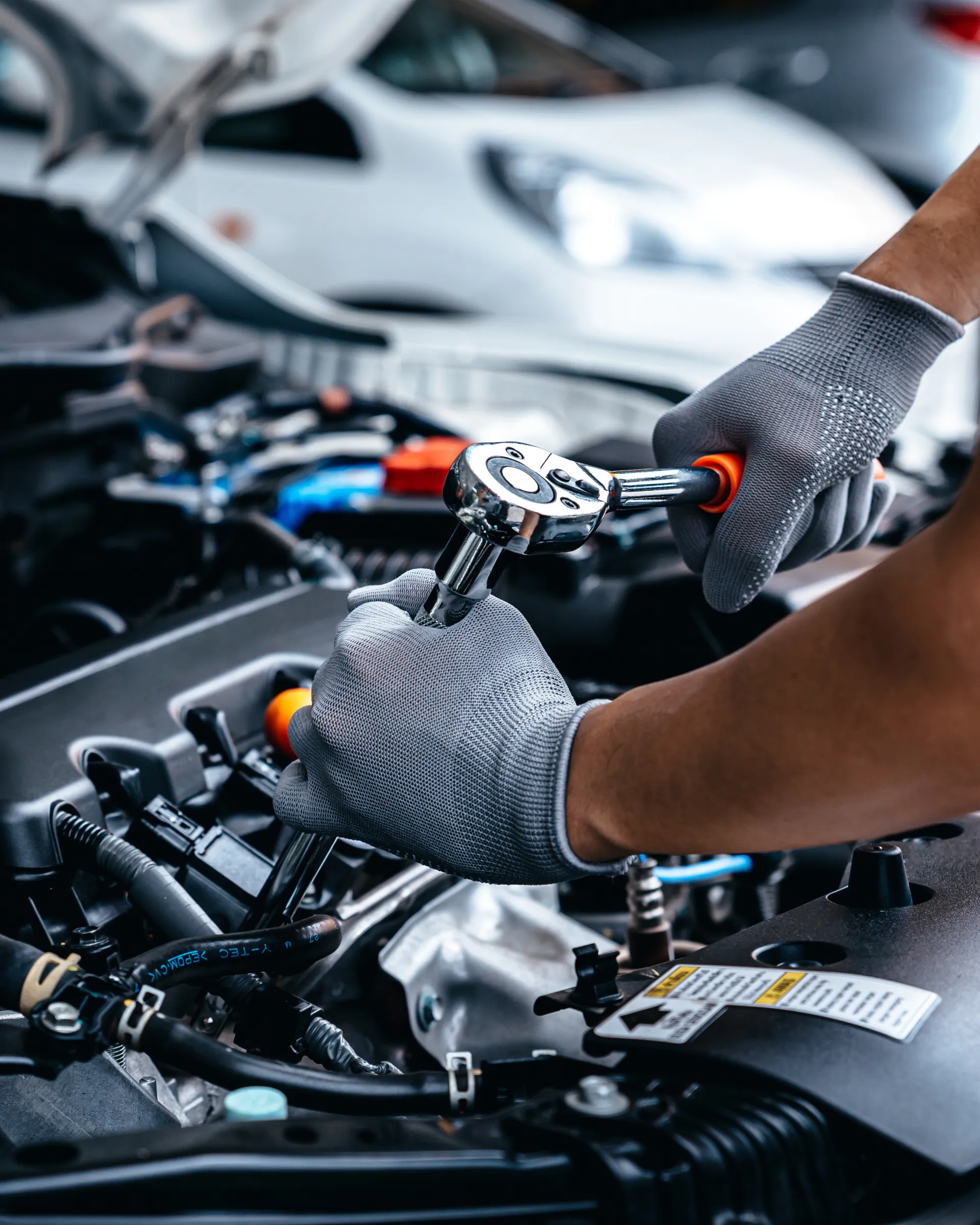 Professional car servicing
